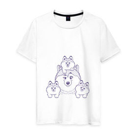 Мужская футболка хлопок с принтом Аляскинские маламуты , 100% хлопок | прямой крой, круглый вырез горловины, длина до линии бедер, слегка спущенное плечо. | husky | malamute | арт | маламут | собака | хаски