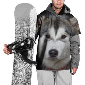 Накидка на куртку 3D с принтом Хаски , 100% полиэстер |  | волк | маламут | собака | хаски | щенок