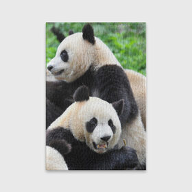 Обложка для паспорта матовая кожа с принтом Панды , натуральная матовая кожа | размер 19,3 х 13,7 см; прозрачные пластиковые крепления | бамбук | животное | медведь