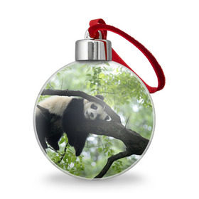 Ёлочный шар с принтом Панда спит на ветке , Пластик | Диаметр: 77 мм | бамбук | животное | медведь