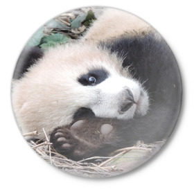Значок с принтом Лапка панда ,  металл | круглая форма, металлическая застежка в виде булавки | Тематика изображения на принте: бамбук | животное | медведь