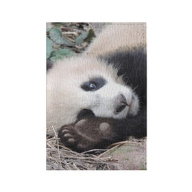 Обложка для паспорта матовая кожа с принтом Лапка панда , натуральная матовая кожа | размер 19,3 х 13,7 см; прозрачные пластиковые крепления | бамбук | животное | медведь