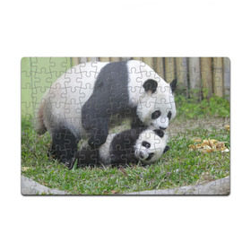 Пазл магнитный 126 элементов с принтом Мамочка и сыночек панды , полимерный материал с магнитным слоем | 126 деталей, размер изделия —  180*270 мм | Тематика изображения на принте: бамбук | животное | медведь