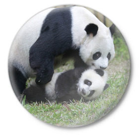 Значок с принтом Мамочка и сыночек панды ,  металл | круглая форма, металлическая застежка в виде булавки | Тематика изображения на принте: бамбук | животное | медведь