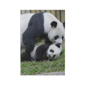 Обложка для паспорта матовая кожа с принтом Мамочка и сыночек панды , натуральная матовая кожа | размер 19,3 х 13,7 см; прозрачные пластиковые крепления | Тематика изображения на принте: бамбук | животное | медведь