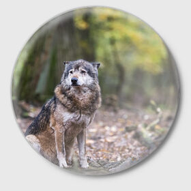 Значок с принтом Серый волк ,  металл | круглая форма, металлическая застежка в виде булавки | бирюк | волк | волчара | волчица | волчок | глаза | животное | животные | зверь | зеленые | койот | лес | млекопитающее | природа | санитар леса | серый | уши | фауна | хищник | черный | шакал