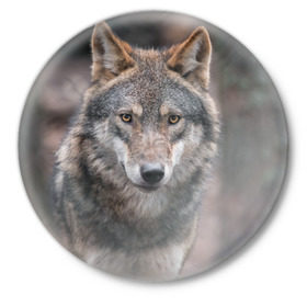 Значок с принтом Волк - санитар леса ,  металл | круглая форма, металлическая застежка в виде булавки | серый