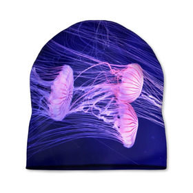 Шапка 3D с принтом Розовые медузы , 100% полиэстер | универсальный размер, печать по всей поверхности изделия | аквариум | вода | дайвинг | милые | море | океан | плывет | подводный мир | рыбалка | рыбка | рыбы | стая | фауна