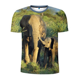 Мужская футболка 3D спортивная с принтом Слониха и слоненок в природе , 100% полиэстер с улучшенными характеристиками | приталенный силуэт, круглая горловина, широкие плечи, сужается к линии бедра | Тематика изображения на принте: африка | африканский | бивни | большой | гигант джунгли | зоопарк | индийский | индия | лесной великан | мамонт | огромный | саванна | сафари | серый | слон | слоненок | слониха | стадо | уши | хобот