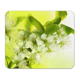 Коврик прямоугольный с принтом Цветы яблони , натуральный каучук | размер 230 х 185 мм; запечатка лицевой стороны | Тематика изображения на принте: белый | весна | дерево | зеленый | природа | растения | цветы | яблоня