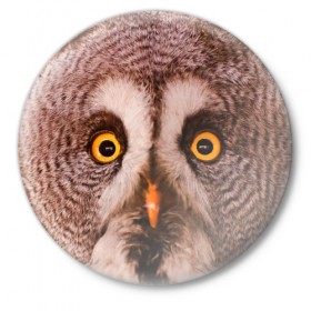 Значок с принтом Кофе ,  металл | круглая форма, металлическая застежка в виде булавки | owl | мудрость | птица | сова | филин