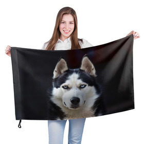 Флаг 3D с принтом Хаски , 100% полиэстер | плотность ткани — 95 г/м2, размер — 67 х 109 см. Принт наносится с одной стороны | dog | лабрадор | мопс | пес | собака | такса | хаски | щеночек
