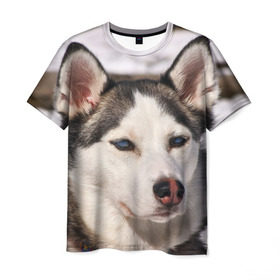 Мужская футболка 3D с принтом Хаски , 100% полиэфир | прямой крой, круглый вырез горловины, длина до линии бедер | Тематика изображения на принте: dog | лабрадор | мопс | пес | собака | такса | хаски | щеночек