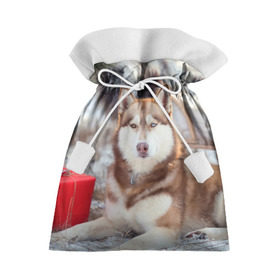 Подарочный 3D мешок с принтом Хаски , 100% полиэстер | Размер: 29*39 см | Тематика изображения на принте: dog | лабрадор | мопс | пес | собака | такса | хаски | щеночек