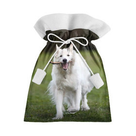 Подарочный 3D мешок с принтом Палочка , 100% полиэстер | Размер: 29*39 см | Тематика изображения на принте: dog | лабрадор | мопс | пес | собака | такса | хаски | щеночек