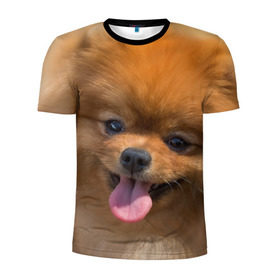 Мужская футболка 3D спортивная с принтом Милашка , 100% полиэстер с улучшенными характеристиками | приталенный силуэт, круглая горловина, широкие плечи, сужается к линии бедра | Тематика изображения на принте: dog | пес | померанский | собака | шпиц | щеночек