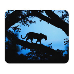 Коврик прямоугольный с принтом Чёрная пантера , натуральный каучук | размер 230 х 185 мм; запечатка лицевой стороны | африка | вечер | дерево | дикая кошка | закат | леопард | сафари | ягуар