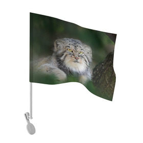 Флаг для автомобиля с принтом Манул , 100% полиэстер | Размер: 30*21 см | всеядный | детеныш | дикие | животные | звери | зверята | кот | манул | медведь | хищник