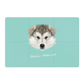 Магнитный плакат 3Х2 с принтом Alaskan Malamute , Полимерный материал с магнитным слоем | 6 деталей размером 9*9 см | alaskan malamute | dog | puppy | маламут | собака | хаски | щенок