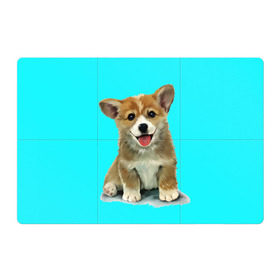 Магнитный плакат 3Х2 с принтом Корги , Полимерный материал с магнитным слоем | 6 деталей размером 9*9 см | corgy | dog | korgi | puppy | вельш корги | кардиган | коржик | пемброк | собака | щенок