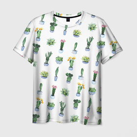 Мужская футболка 3D с принтом Кактусы , 100% полиэфир | прямой крой, круглый вырез горловины, длина до линии бедер | горшок | зеленый | кактус | принт | растение | флора | цветы