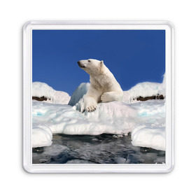 Магнит 55*55 с принтом Арктика , Пластик | Размер: 65*65 мм; Размер печати: 55*55 мм | animals | bear | ice | nature | polar bear | power | travel | белый медведь | животные | лёд | медведь | природа | путешествия | сила | снег