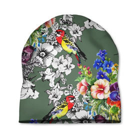 Шапка 3D с принтом Райский остров , 100% полиэстер | универсальный размер, печать по всей поверхности изделия | арт | краска | попугаи | попугай | прикольные | рай | тропики | цветные | цветок | цветы