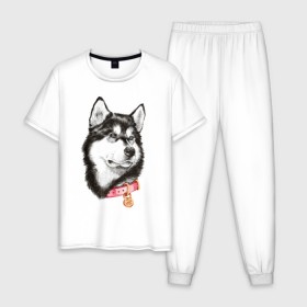 Мужская пижама хлопок с принтом Маламут , 100% хлопок | брюки и футболка прямого кроя, без карманов, на брюках мягкая резинка на поясе и по низу штанин
 | аляска | карандаш | маламут | рисунок | собака | хаски