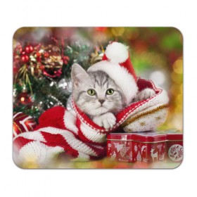 Коврик прямоугольный с принтом Новогодний котик , натуральный каучук | размер 230 х 185 мм; запечатка лицевой стороны | елка | зима | кот | котейка | кошка | мороз | новый год | снег