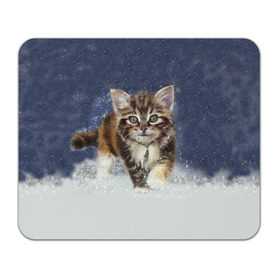 Коврик прямоугольный с принтом Зимний котик , натуральный каучук | размер 230 х 185 мм; запечатка лицевой стороны | зима | кот | котенок | кошка | новый год | снег | снежинка | снежок