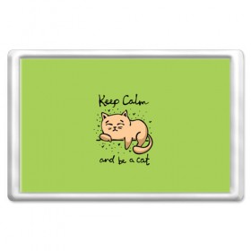 Магнит 45*70 с принтом Keep Calm and be a cat , Пластик | Размер: 78*52 мм; Размер печати: 70*45 | cat | keep calm | домашние любимцы | животные | котики | котэ | котята | любовь | милые