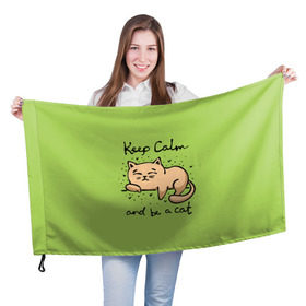 Флаг 3D с принтом Keep Calm and be a cat , 100% полиэстер | плотность ткани — 95 г/м2, размер — 67 х 109 см. Принт наносится с одной стороны | cat | keep calm | домашние любимцы | животные | котики | котэ | котята | любовь | милые
