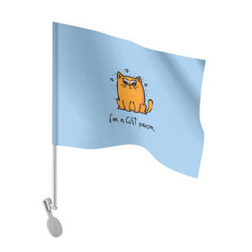 Флаг для автомобиля с принтом I am a Cat Person , 100% полиэстер | Размер: 30*21 см | cat | домашние любимцы | животные | котики | котэ | котята | любовь | милые