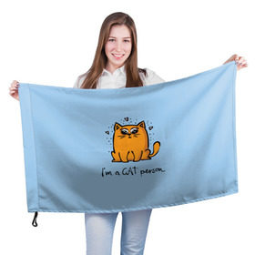 Флаг 3D с принтом I am a Cat Person , 100% полиэстер | плотность ткани — 95 г/м2, размер — 67 х 109 см. Принт наносится с одной стороны | cat | домашние любимцы | животные | котики | котэ | котята | любовь | милые