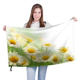 Флаг 3D с принтом Полевые ромашки , 100% полиэстер | плотность ткани — 95 г/м2, размер — 67 х 109 см. Принт наносится с одной стороны | луг | поле | цветы