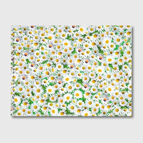 Альбом для рисования с принтом Ромашки , 100% бумага
 | матовая бумага, плотность 200 мг. | Тематика изображения на принте: chamomile | daisies | flowers | nature | природа | растения | ромашки | текстура | цветы