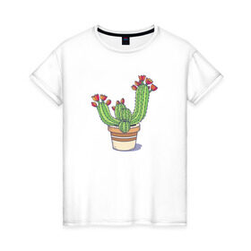 Женская футболка хлопок с принтом Кактус , 100% хлопок | прямой крой, круглый вырез горловины, длина до линии бедер, слегка спущенное плечо | горшок | растение | цветет | цветок