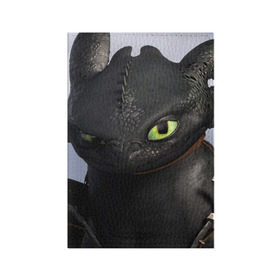 Обложка для паспорта матовая кожа с принтом как приручить дракона , натуральная матовая кожа | размер 19,3 х 13,7 см; прозрачные пластиковые крепления | how to train your dragon | беззубик | дракон | как приручить дракона | ночная фурия