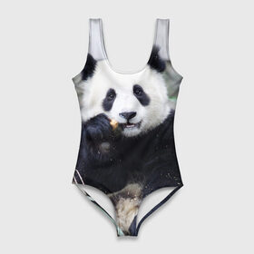Купальник-боди 3D с принтом Большая панда , 82% полиэстер, 18% эластан | Круглая горловина, круглый вырез на спине | Тематика изображения на принте: бамбук | белый | джунгли | дикое | животное | китай | лес | медведь | черный