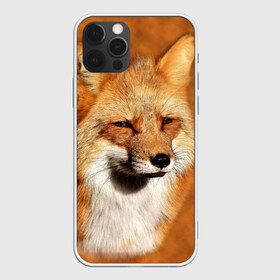 Чехол для iPhone 12 Pro Max с принтом Лисичка , Силикон |  | Тематика изображения на принте: животные | зверь | лиса | лисичка | природа | рыжая | фыр