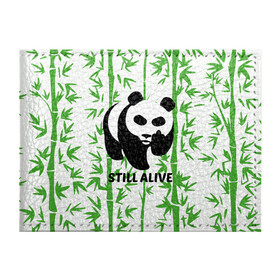 Обложка для студенческого билета с принтом Still Alive , натуральная кожа | Размер: 11*8 см; Печать на всей внешней стороне | alive | bamboo | green | greenpeace | panga | peace | still | бамбук | грин | гринпис | живая | живой | зеленый | мир | панда | панды | пис