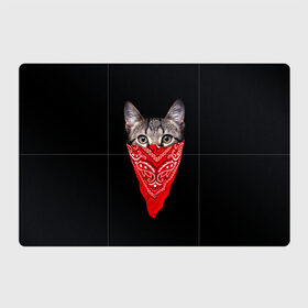 Магнитный плакат 3Х2 с принтом Gangsta Cat , Полимерный материал с магнитным слоем | 6 деталей размером 9*9 см | cat | cats | gangsta | kitten | kitty | pussy | гангстер | кот | котенок | котик | котики | коты | котята | кошка | кошки | платок
