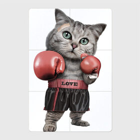 Магнитный плакат 2Х3 с принтом Кот боксёр , Полимерный материал с магнитным слоем | 6 деталей размером 9*9 см | боец | бокс | боксёр | кот | котёнок | кошак | кошка | кулак | спорт | шорты