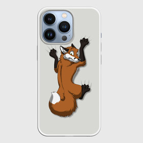 Чехол для iPhone 13 Pro с принтом Лис Вцепился ,  |  | Тематика изображения на принте: cute | fox | foxes | ginger | tail | вцепился | забавная | капаркается | лис | лиса | лисица | лисицы | лисичка | лисички | лисы | милая | рыжая | рыжие | смешная | фыр | хвост | хвосты