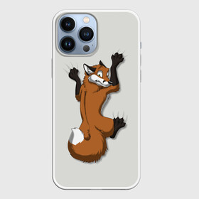 Чехол для iPhone 13 Pro Max с принтом Лис Вцепился ,  |  | Тематика изображения на принте: cute | fox | foxes | ginger | tail | вцепился | забавная | капаркается | лис | лиса | лисица | лисицы | лисичка | лисички | лисы | милая | рыжая | рыжие | смешная | фыр | хвост | хвосты