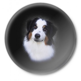 Значок с принтом Собака ,  металл | круглая форма, металлическая застежка в виде булавки | Тематика изображения на принте: голова | животные | мордочка | пес | природа | собака | щенок