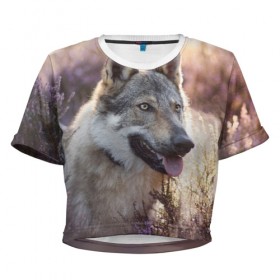 Женская футболка Cropp-top с принтом Волк , 100% полиэстер | круглая горловина, длина футболки до линии талии, рукава с отворотами | dog | взгляд | волк | лайка | собака | хаски
