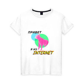 Женская футболка хлопок с принтом Привет я из internet , 100% хлопок | прямой крой, круглый вырез горловины, длина до линии бедер, слегка спущенное плечо | internet | интернет | кот | мем | мемы про котов | надпись | прикол