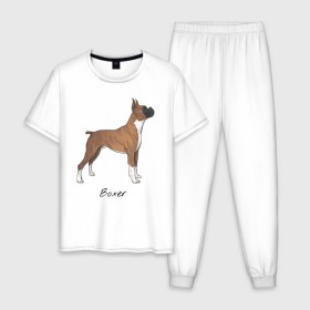 Мужская пижама хлопок с принтом Немецкий Боксер , 100% хлопок | брюки и футболка прямого кроя, без карманов, на брюках мягкая резинка на поясе и по низу штанин
 | boxer | dog | боксёр | собака | собака боксер | собаки