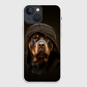 Чехол для iPhone 13 mini с принтом Ротвейлер в капюшоне ,  |  | rottweiler | капюшон | молоссы | пастух | пёс | собака | щенок